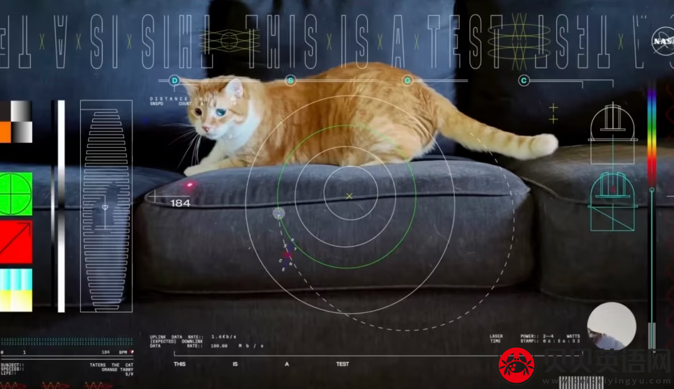 猫在太空激光发射的视频中抢镜 Cat Steals the Show in Video Sent by Laser from Space