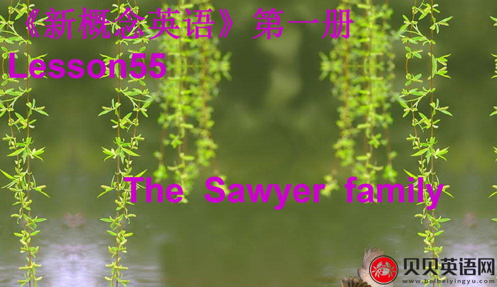 新概念英语一册 lesson 55-56课件下载The  Sawyer  family