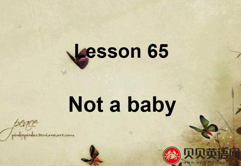 新概念英语一册 lesson 65-66课件下载Not a baby