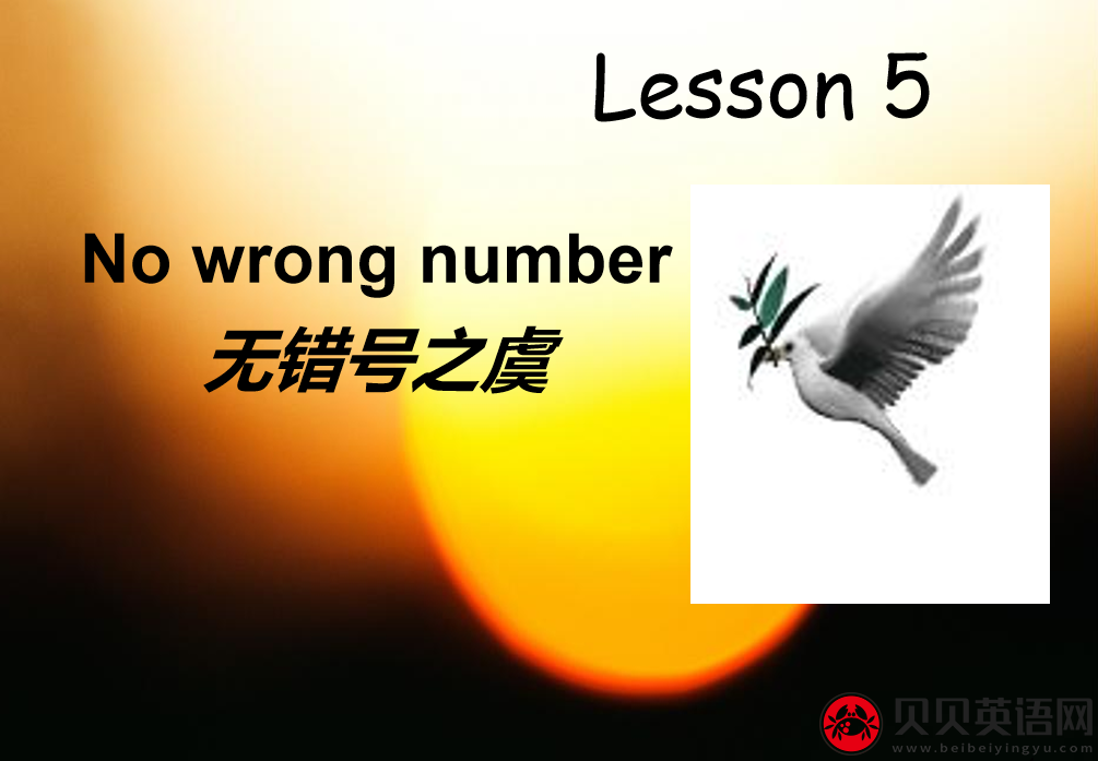 新概念英语二册  Lesson5 No wrong numbers 第（1）套课件下载