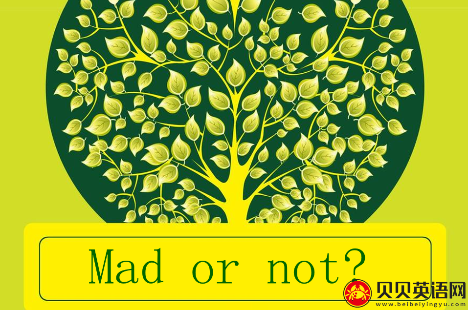 新概念英语二册 Lesson21 Mad or not? 第（5）套免费PPT课件下载