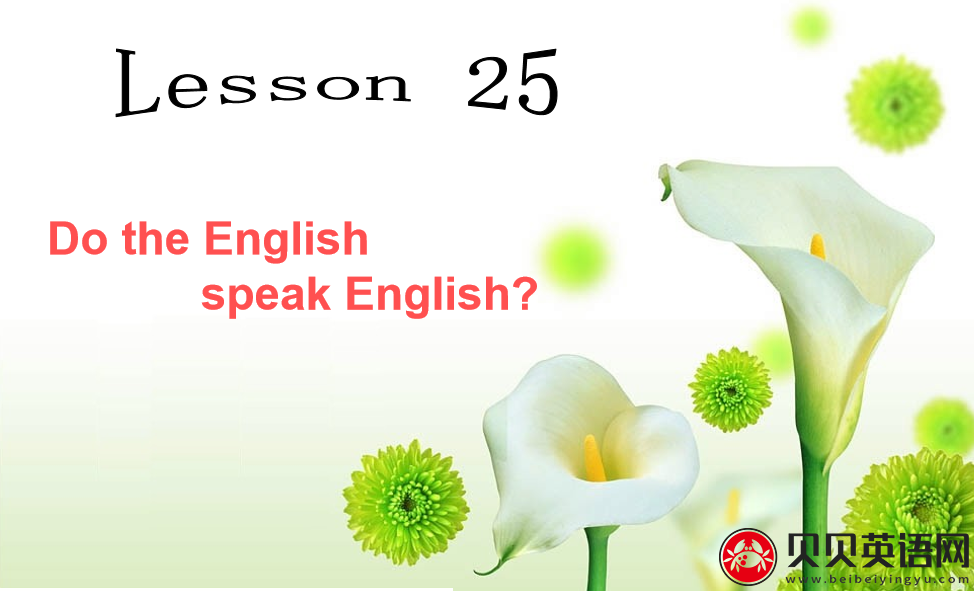 新概念英语二册 Lesson25 Do the English speak English? 第（2）套PPT课件