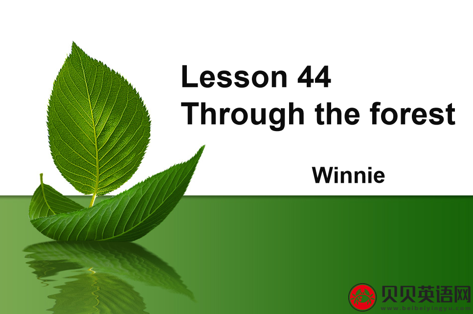 新概念英语二册 Lesson44 Through the forest 第（3）套免费课件