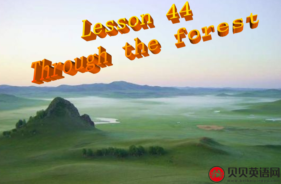 新概念英语二册 Lesson44 Through the forest 第（5）套免费PPT课件下载