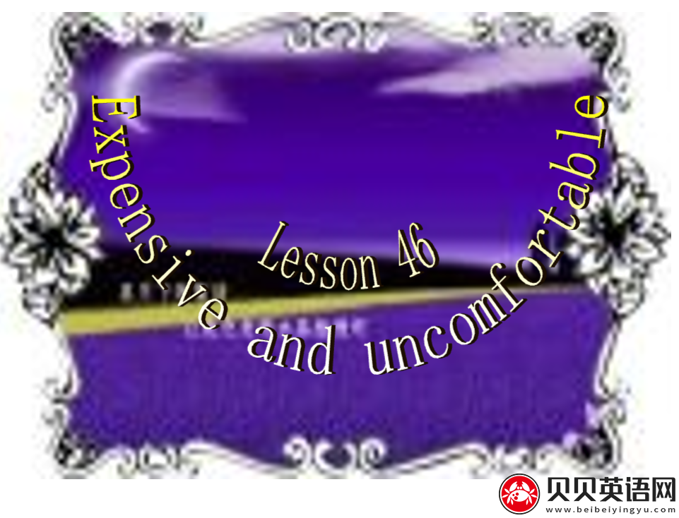 新概念英语二册 Lesson46 Expensive and uncomfortable 第（3）套免费课件