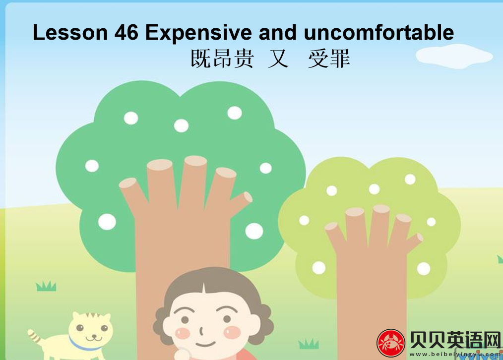 新概念英语二册 Lesson46 Expensive and uncomfortable 第（4）套课件在线下载