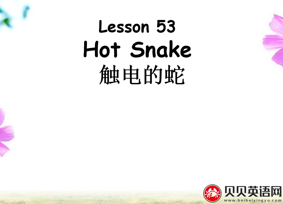 新概念英语二册 Lesson53 Hot Snake 第（2）套PPT课件