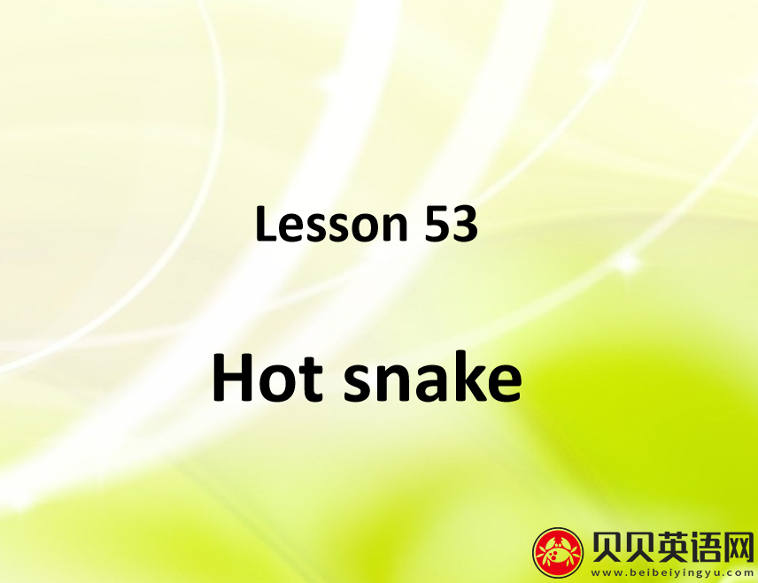 新概念英语二册 Lesson53 Hot Snake 第（4）套课件在线下载