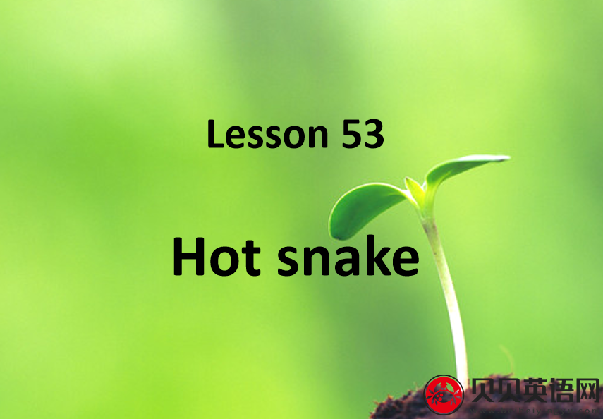 新概念英语二册 Lesson53 Hot Snake 第（5）套免费PPT课件下载