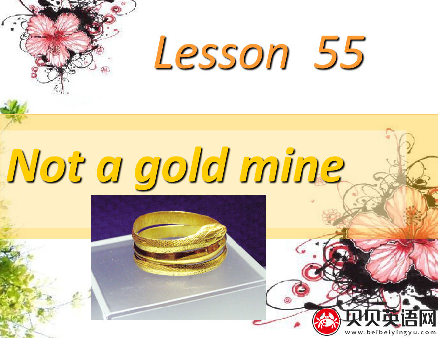 新概念英语二册 Lesson55 Not a Gold Mine 第（3）套免费课件