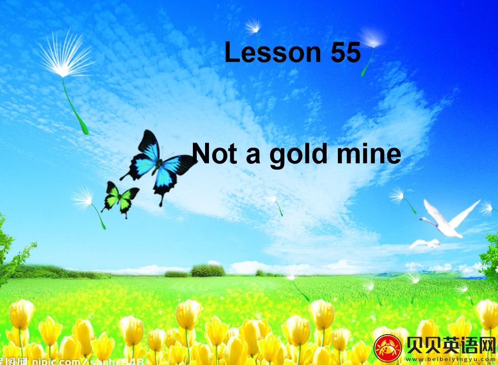 新概念英语二册 Lesson55 Not a Gold Mine 第（5）套免费PPT课件下载