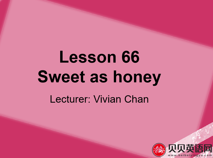 新概念英语二册 Lesson66 Sweet as honey 第（4）套课件在线下载