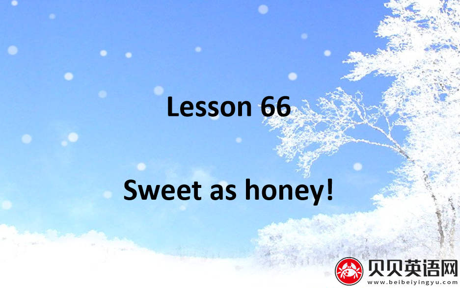 新概念英语二册 Lesson66 Sweet as honey 第（5）套免费PPT课件下载