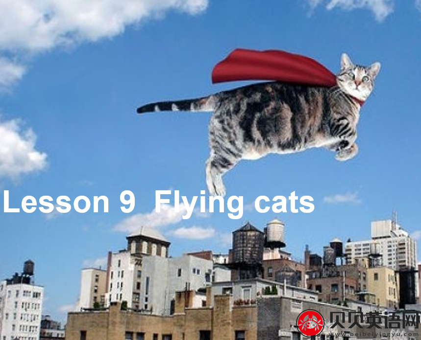 新概念英语三册 Lesson9 Flying cats 第（2）套PPT课件