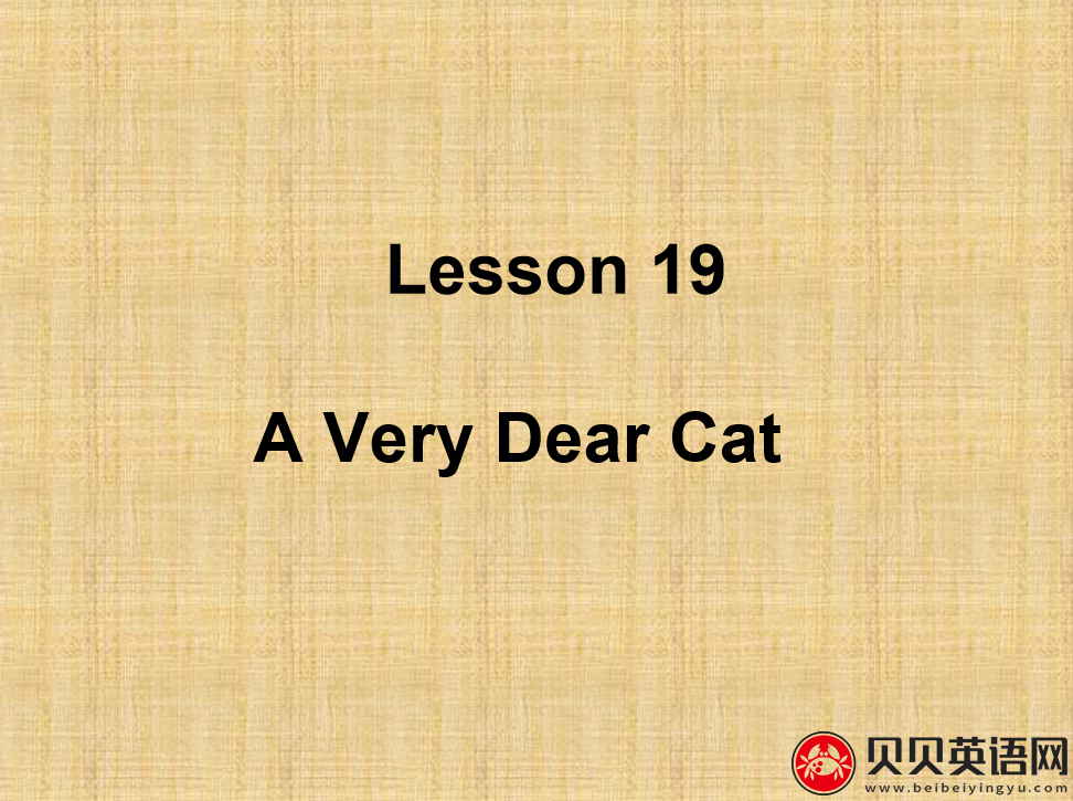 新概念英语三册 Lesson19 A Very Dear Cat 第（3）套免费课件