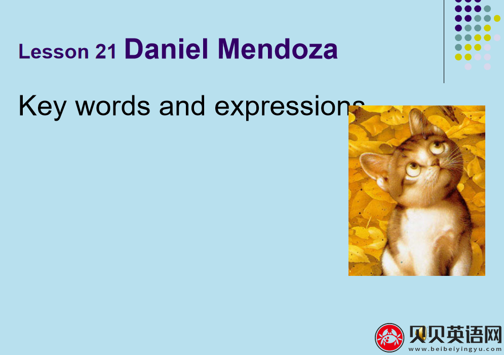 新概念英语三册 Lesson21 Daniel Mendoza 第（3）套免费课件