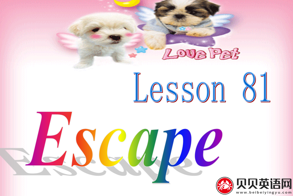 新概念英语二册 Lesson81 Escape 第（2）套PPT课件