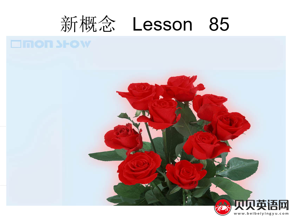 新概念英语二册 Lesson85 Never too old to learn 第（3）套免费课件