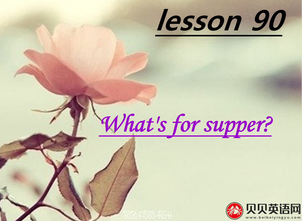 新概念英语二册 Lesson90 What's for supper? 第（4）套课件在线下载