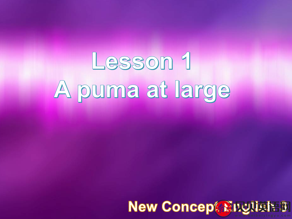 新概念英语三册 Lesson1 A puma at large 第（4）套课件在线下载