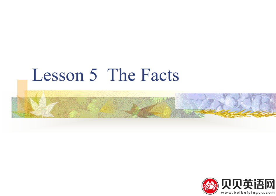 新概念英语三册 Lesson5 The Facts 第（1）套课件下载