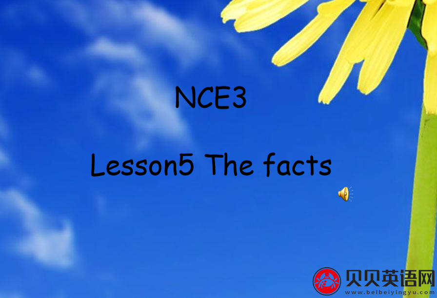 新概念英语三册 Lesson5 The Facts 第（2）套PPT课件