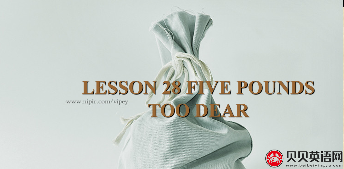 新概念英语三册 Lesson28 Five pounds too dear 第（5）套免费PPT课件下载