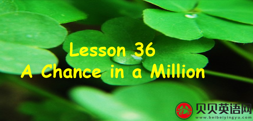 新概念英语三册 Lesson36 A chance in a million 第（3）套免费课件