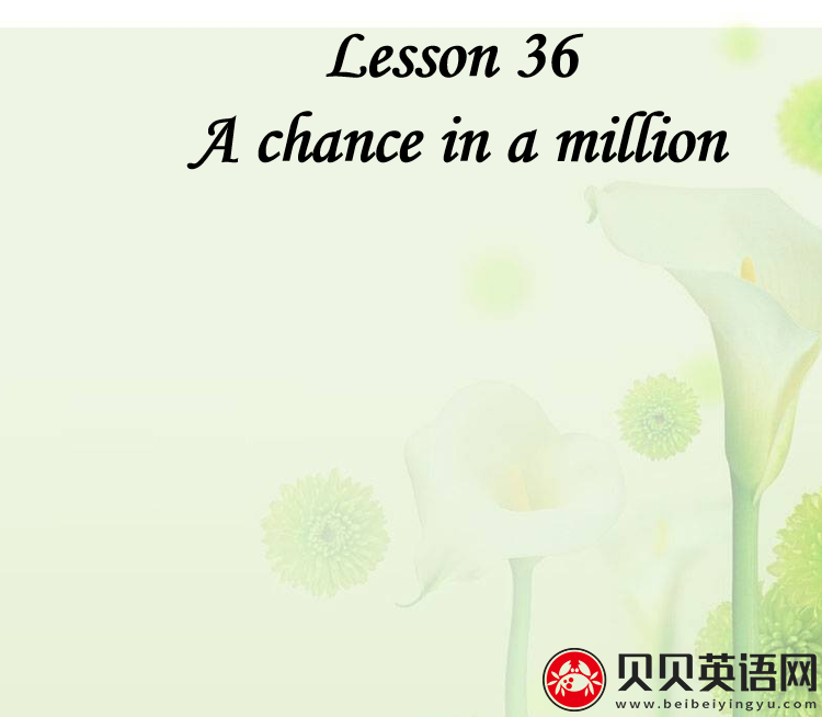 新概念英语三册 Lesson36 A chance in a million 第（4）套课件在线下载