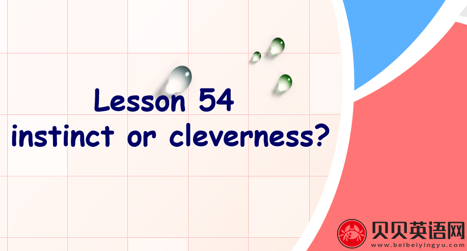 新概念英语三册 Lesson54 Instinct or cleverness? 第（2）套PPT课件