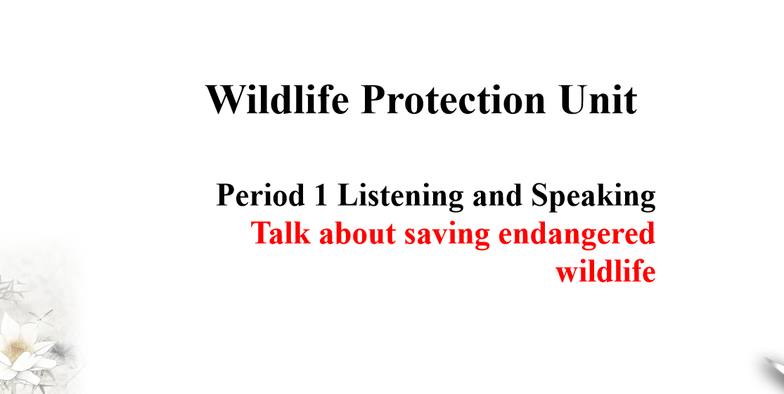 人教版高中英语必修第二册Unit 2 Wildlife Protection Period 1 课件