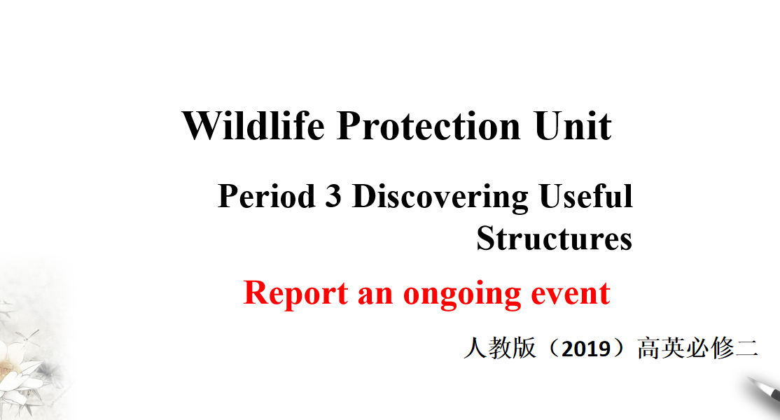 人教版高中英语必修第二册Unit 2 Wildlife Protection Period 3 课件